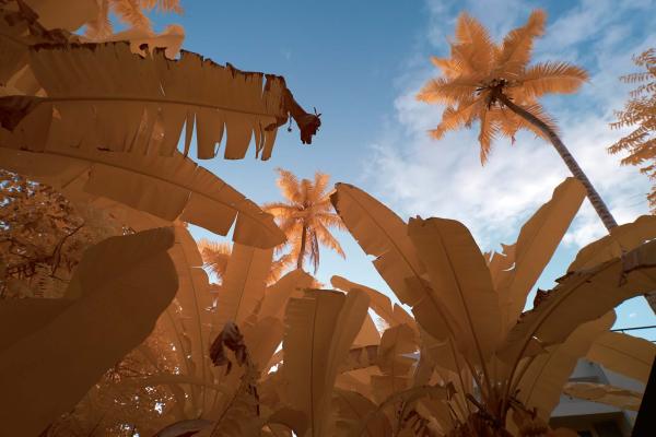 Vlies-Fototapete MS-5-1709 mit alpinem Bergmotiv – Format 375 × 250 cm, brillante Farben, klare Linien, Naturpanorama in XX