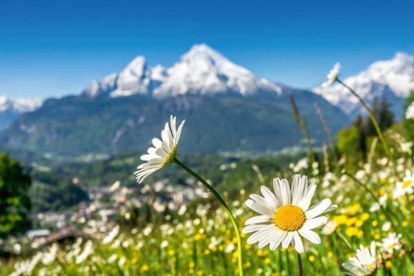 Vlies-Fototapete MS-5-1713 mit alpinem Bergmotiv – Format 375 × 250 cm, brillante Farben, klare Linien, Naturpanorama in XX