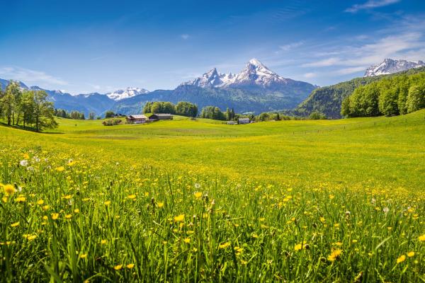 Vlies-Fototapete MS-5-1714 mit alpinem Bergmotiv – Format 375 × 250 cm, brillante Farben, klare Linien, Naturpanorama in XX