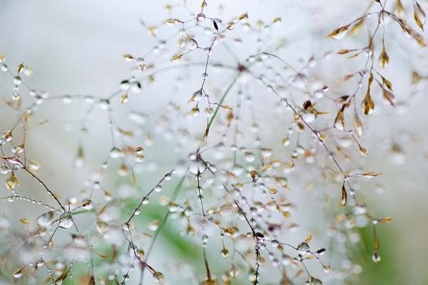 Vlies-Fototapete MS-5-1728 – Draufsicht auf florales Dessin mit warmen Farbtönen, Format 375 × 250 cm, brillante Druckqualität.