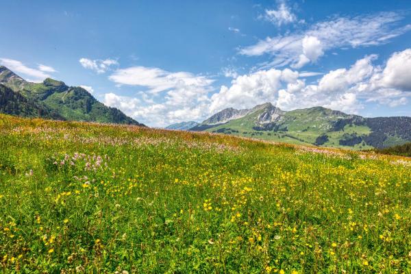 Vlies-Fototapete MS-5-1735 mit alpinem Bergmotiv – Format 375 × 250 cm, brillante Farben, klare Linien, Naturpanorama in XX