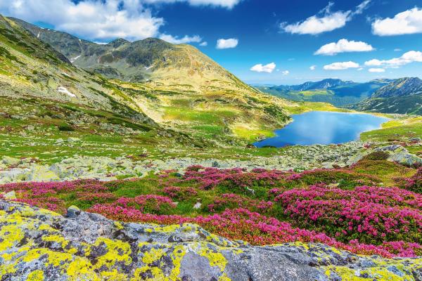 Vlies-Fototapete MS-5-1816 mit alpinem Bergmotiv – Format 375 × 250 cm, brillante Farben, klare Linien, Naturpanorama in XX