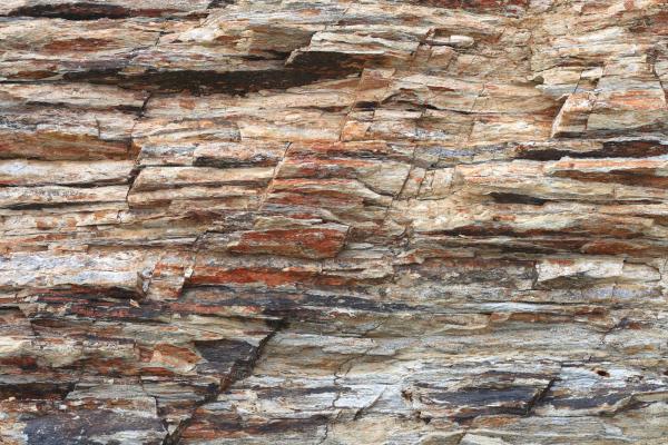 Vlies-Fototapete MS-5-2363 mit realistischer Holzstruktur in Draufsicht – warmes Design und natürliche Maserung