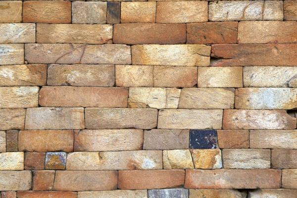 Vlies-Fototapete MS-5-2371 mit realistischer Holzstruktur in Draufsicht – warmes Design und natürliche Maserung