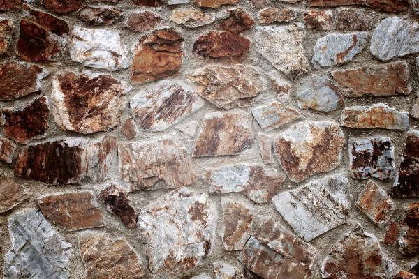 Vlies-Fototapete MS-5-2389 mit realistischer Holzstruktur in Draufsicht – warmes Design und natürliche Maserung