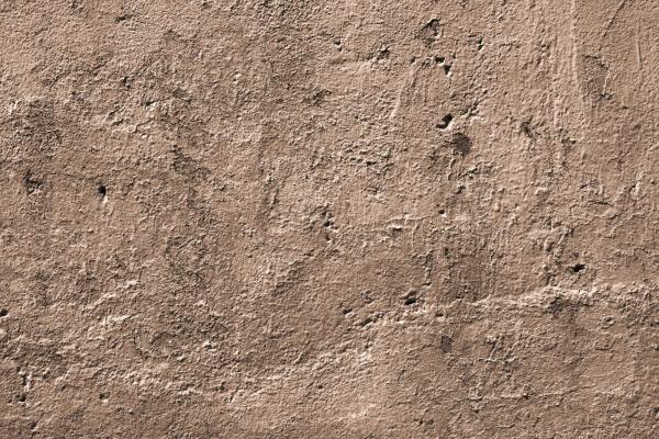 Vlies-Fototapete MS-5-2416 mit realistischer Holzstruktur in Draufsicht – warmes Design und natürliche Maserung