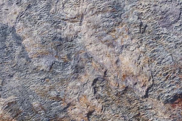 „Strukturmotiv der Vlies-Fototapete MS-5-2452 in Draufsicht – detailreiche Oberfläche mit räumlicher Wirkung im Format 375×250 cm“