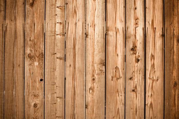 Vlies-Fototapete MS-5-2569 mit realistischer Holzstruktur in Draufsicht – warmes Design und natürliche Maserung