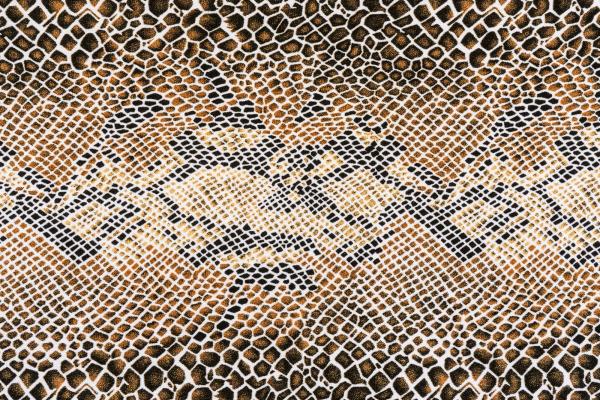 „Strukturmotiv der Vlies-Fototapete MS-5-2580 in Draufsicht – detailreiche Oberfläche mit räumlicher Wirkung im Format 375×250 cm“