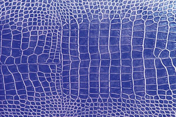 „Strukturmotiv der Vlies-Fototapete MS-5-2581 in Draufsicht – detailreiche Oberfläche mit räumlicher Wirkung im Format 375×250 cm“