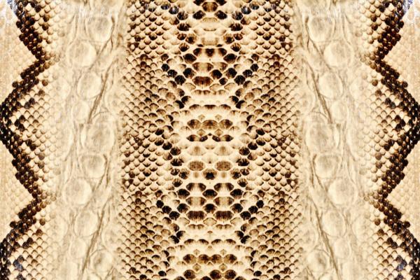 „Strukturmotiv der Vlies-Fototapete MS-5-2582 in Draufsicht – detailreiche Oberfläche mit räumlicher Wirkung im Format 375×250 cm“