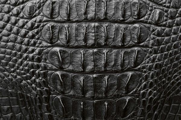 „Strukturmotiv der Vlies-Fototapete MS-5-2583 in Draufsicht – detailreiche Oberfläche mit räumlicher Wirkung im Format 375×250 cm“