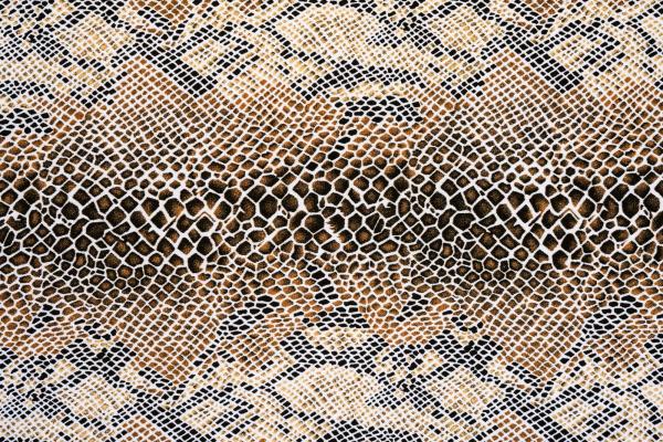 „Strukturmotiv der Vlies-Fototapete MS-5-2584 in Draufsicht – detailreiche Oberfläche mit räumlicher Wirkung im Format 375×250 cm“