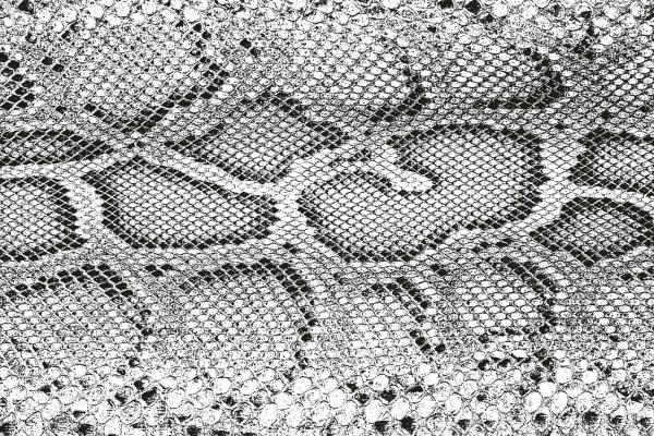 „Strukturmotiv der Vlies-Fototapete MS-5-2585 in Draufsicht – detailreiche Oberfläche mit räumlicher Wirkung im Format 375×250 cm“