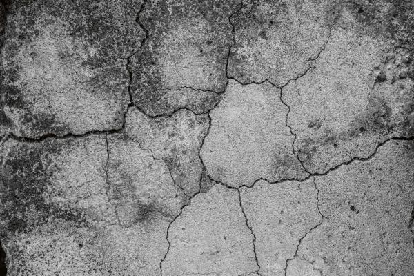 Vlies-Fototapete MS-5-2644 mit realistischer Holzstruktur in Draufsicht – warmes Design und natürliche Maserung