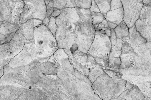 Vlies-Fototapete MS-5-2646 mit realistischer Holzstruktur in Draufsicht – warmes Design und natürliche Maserung