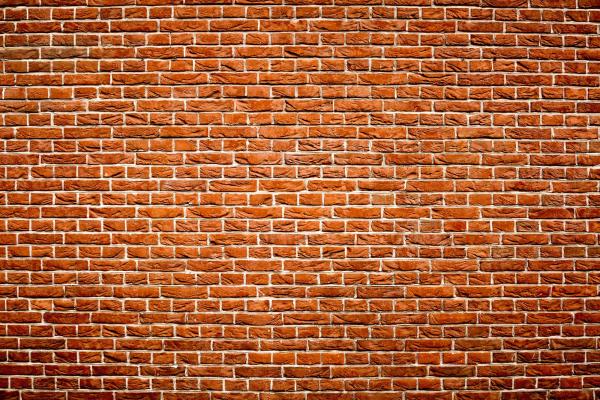 Vlies-Fototapete MS-5-2693 mit realistischer Holzstruktur in Draufsicht – warmes Design und natürliche Maserung