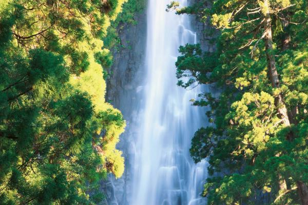 Detailansicht der Vlies-Fototapete MS-5-3148 mit Wasserfall-Motiv in XXL