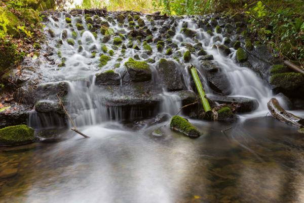 Detailansicht der Vlies-Fototapete MS-5-3150 mit Wasserfall-Motiv in XXL