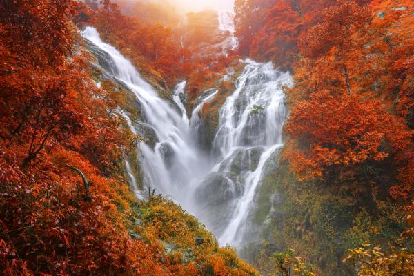 Detailansicht der Vlies-Fototapete MS-5-3180 mit Wasserfall-Motiv in XXL