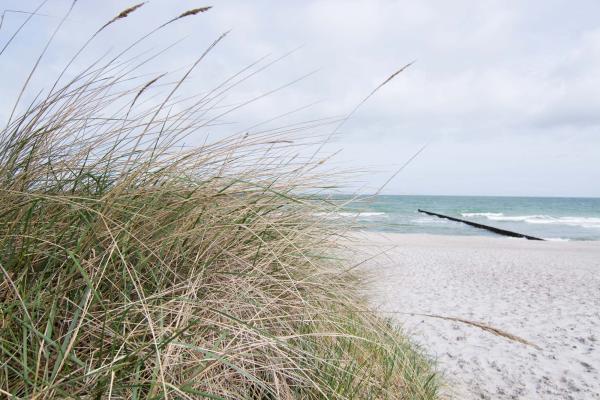 Küsten-Fototapete MS-5-3204 in Draufsicht – Vliesmaterial mit maritimem Motiv und brillanter Farbwirkung
