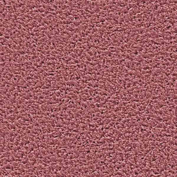 Top view of a rectangular carpet pattern in fraise red