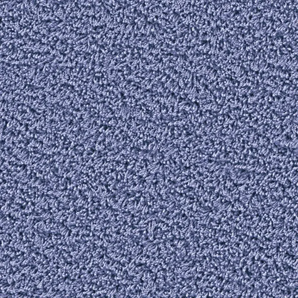 Top view of a rectangular carpet pattern in blue