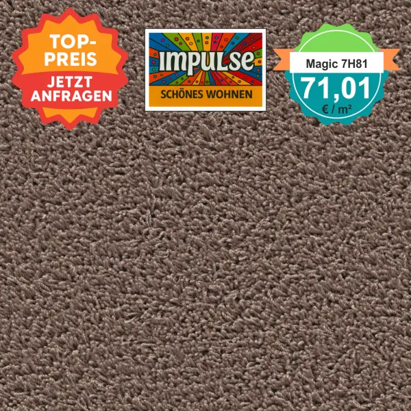 Top view of a square carpet pattern in brown