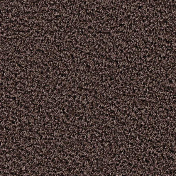 Top view of a rectangular carpet pattern in dark brown