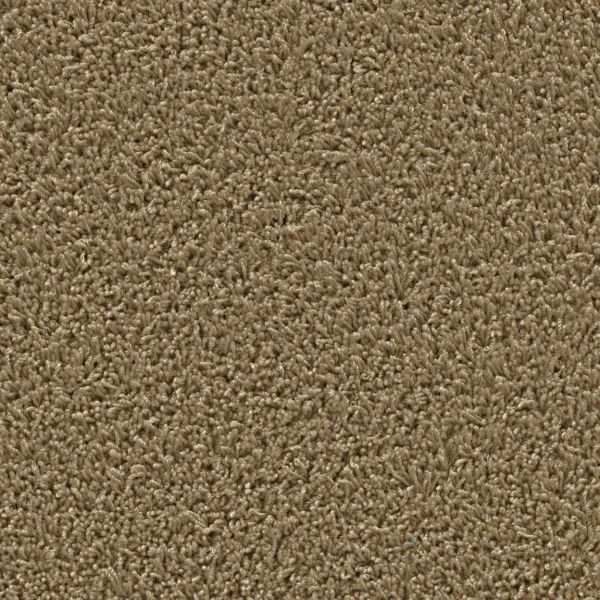 Top view of a rectangular carpet pattern in caramel