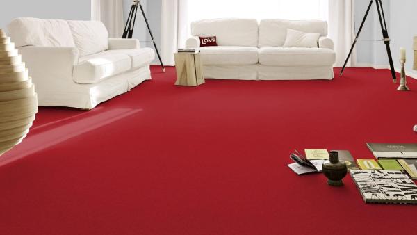 Modena 1B28 Teppichboden verlegt im Wohnbereich – elegante, gleichmäßige Velours-Oberfläche