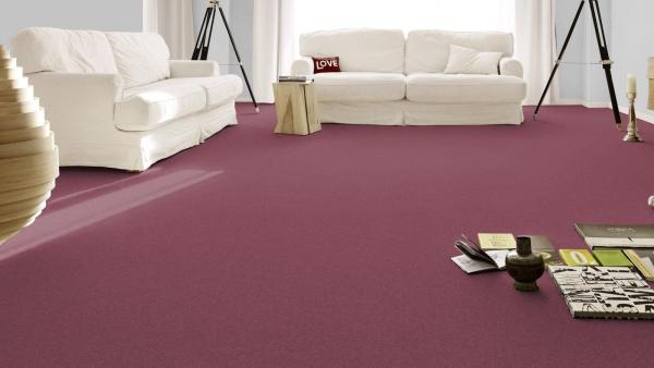 Modena 1H91 Teppichboden verlegt im Wohnbereich – elegante, gleichmäßige Velours-Oberfläche