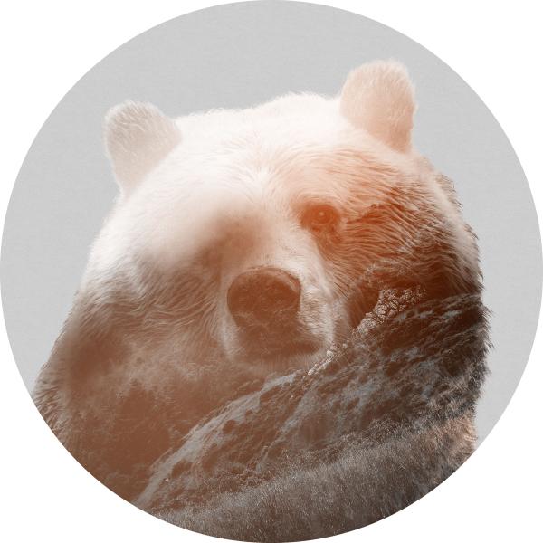 Fototapete - Sticker selbstklebend auf Vlies D1-015 - Ø 125 cm - versandkostenfrei