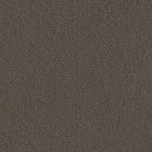 Girloon Twin 865 – Velours Teppichboden in 2 m oder 4 m Breite mit gleichmäßiger Oberfläche